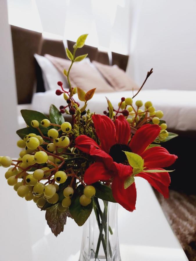 New W Hotel Tiran Dış mekan fotoğraf